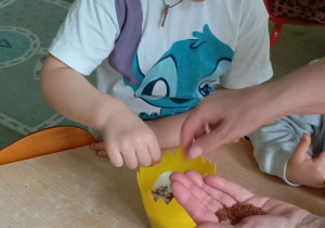 Chłopiec w białej koszulce sieje ziarenka