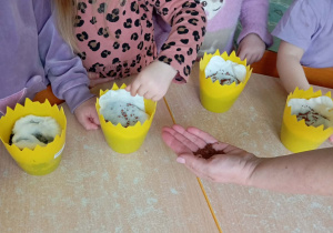 Dziewczynka w koszulce w kropki sieje ziarenka