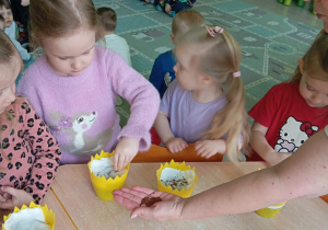 Dziewczynka w fioletowej bluzce sieje ziarenka