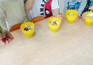 Chłopcy sieją nasionka