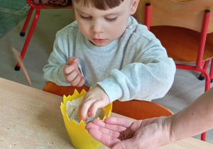 Chłopiec sieje rzeżuchę