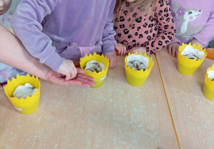 Dziewczynki w kolorowych bluzkach sieje rzeżuchę