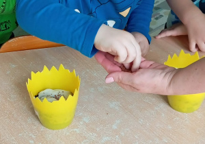 Chłopiec w niebieskiej bluzce sieje rzeżuchę