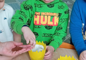 Chłopiec w zielonej bluzce sieje rzeżuchę