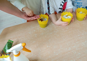 Chłopiec w białej koszulce sieje rzeżuchę