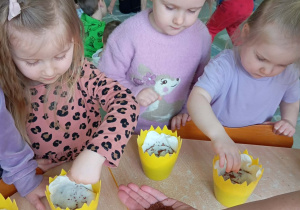 Dziewczynki sieją rzeżuchę