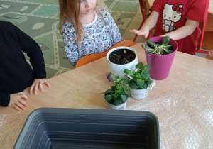 Dziewczynki stoją przy stoliku