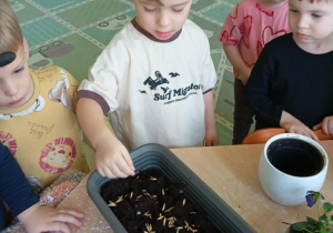 Chłopiec sieje owies