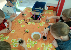 Dzieci sadzą nasiona owsu, aby móc je podlać wodą.