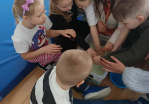 Poznajemy świat wszystkimi zmysłami!