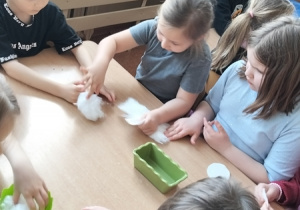 Dzieci wysiewają nasionka rzeżuchy