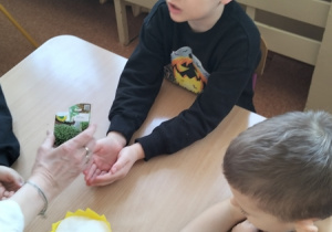 Dzieci wysiewają nasionka rzeżuchy