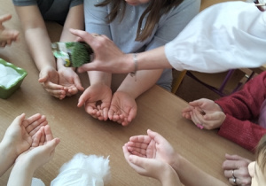 Dzieci wysiewają nasionka rzeżuchy