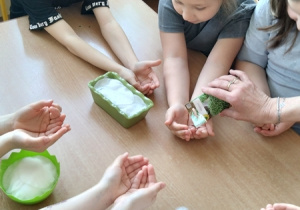 Dzieci wysiewają nasionka rzeżuchy