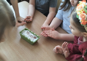 Dzieci wysiewają nasionka rzeżuchy