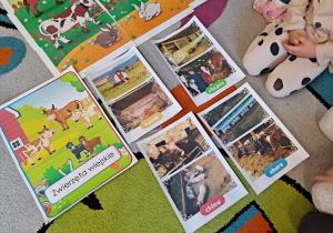 Zwierzęta gospodarskie – ciekawostki i zabawa