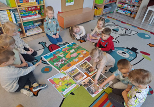 Zwierzęta gospodarskie – ciekawostki i zabawa