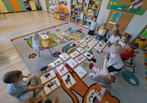 Zwierzęta gospodarskie – ciekawostki i zabawa