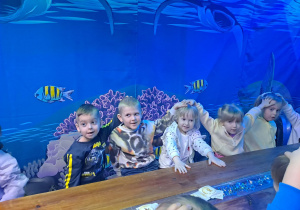 Dzień pełen przygód w Malinowym Grodzie