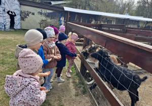 Dzień pełen przygód w Malinowym Grodzie