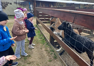 Dzień pełen przygód w Malinowym Grodzie