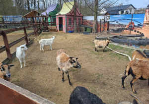 Dzień pełen przygód w Malinowym Grodzie