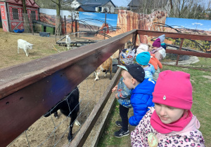Dzień pełen przygód w Malinowym Grodzie