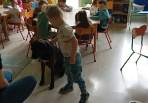 Chłopiec w jasnej koszulce stoi obok psa