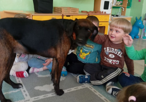 Chłopiec w brązowej koszulce wyciąga rękę do psa