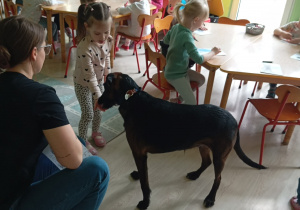 Dziewczynka daje przysmak dla psa