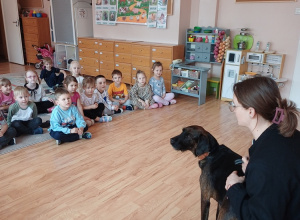 Dogoterapia