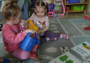 Zapoznanie ze sprzętem ogrodowym