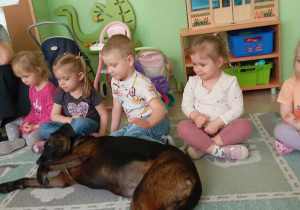 Brązowy pies leży przed dzieci