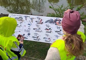 Dzieci prowadzą obserwacje środowiska przyrodniczego
