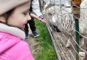 Dzieci karmią zwierzątka