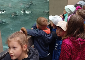 Wycieczka w zoo