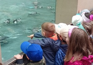 Wycieczka w zoo