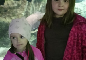 Wycieczka w zoo