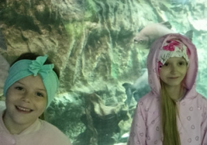 Wycieczka w zoo