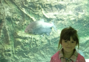 Wycieczka w zoo