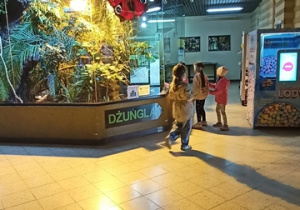 Wycieczka w zoo