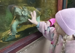 Wycieczka w zoo
