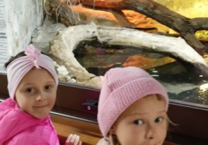 Wycieczka w zoo