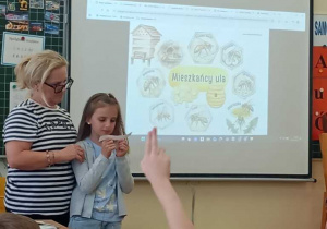 Poznajemy życie pszczół i szkołę od środka