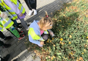 Dziecko zbiera odpady z terenu zielonego.