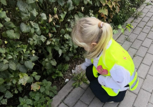 Dziecko zbiera odpady z terenu zielonego.