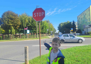 Dzieci wskazują i nazywają znane im znaki drogowe