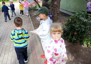 Przedszkolaki zbierają śmieci na terenie przedszkola.