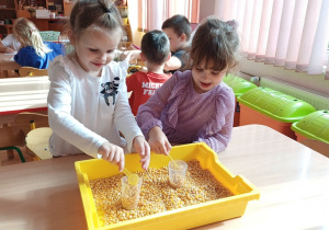 Dwie dziewczynki przesypują ziarna kukurydzy do małych pojemników
