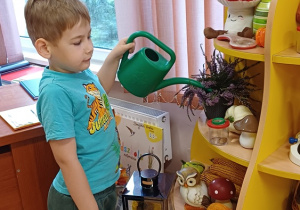 Chłopiec podlewa roślinę doniczkową